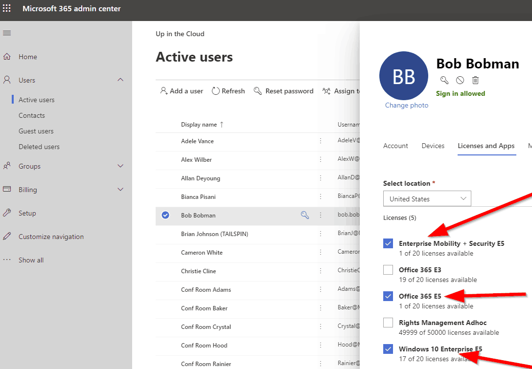 O365 license report