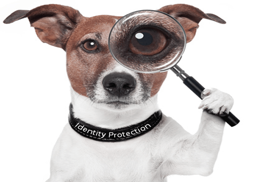 A Watchdog named "Azure AD Identity Protection"